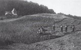 B07c - Grasernte mit Sensen am Burgberg im Jahr 1910 (im Hintergrund Villa Wuester spaeter Liebau)